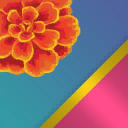 Catrina
(Variant 1 Living)